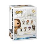 Funko Pop! Wizarding World: Harry Potter - Hermione Granger with Crookshanks #167 - Image 3